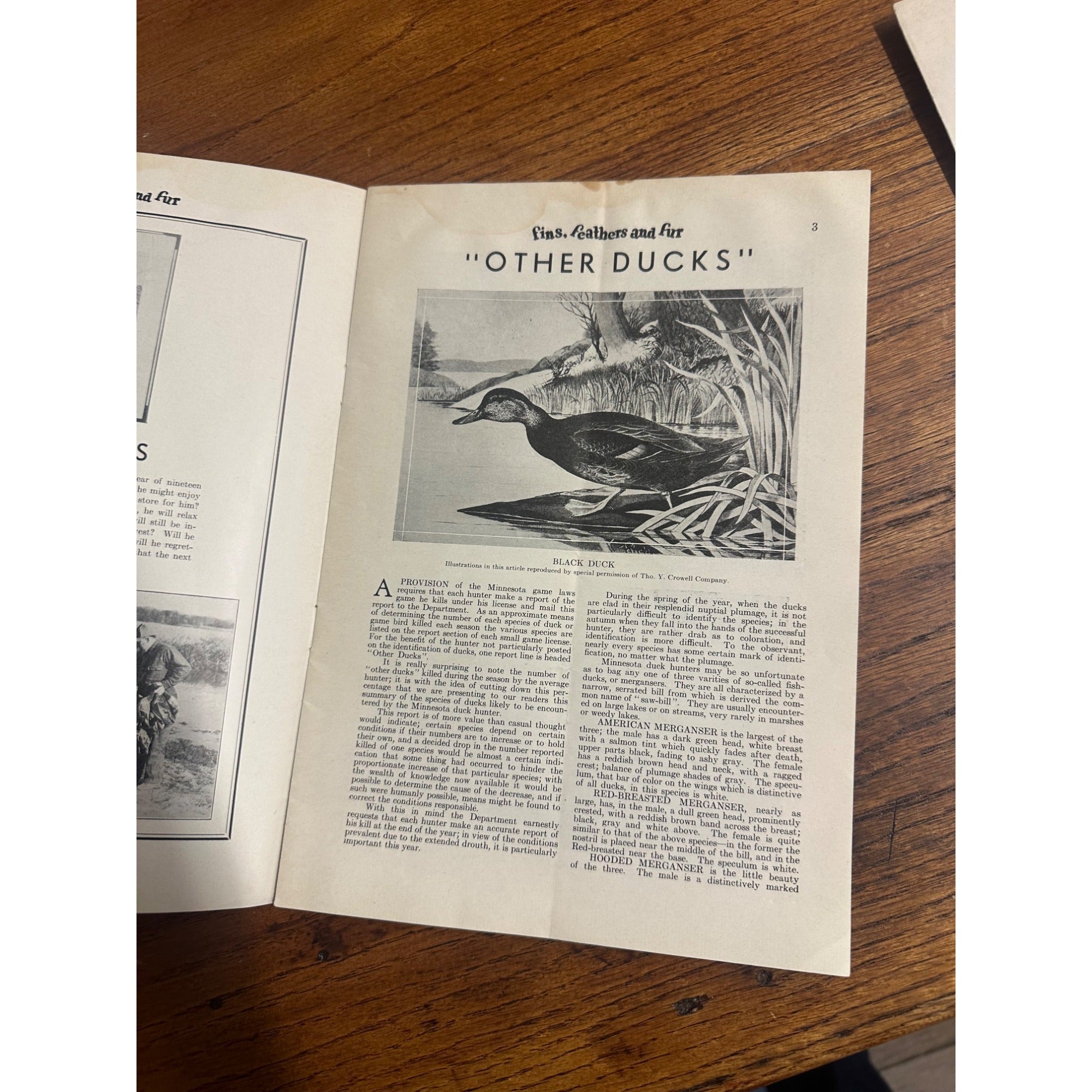 Vintage 1931 Fins, Feathers & Fur Minnesota Game & Fish Dept. Hunting Fishing Magazines