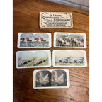 Rare Set of 25 Stereoscope Cards Battlefields of Europe WWI Stereoviews World War WW1