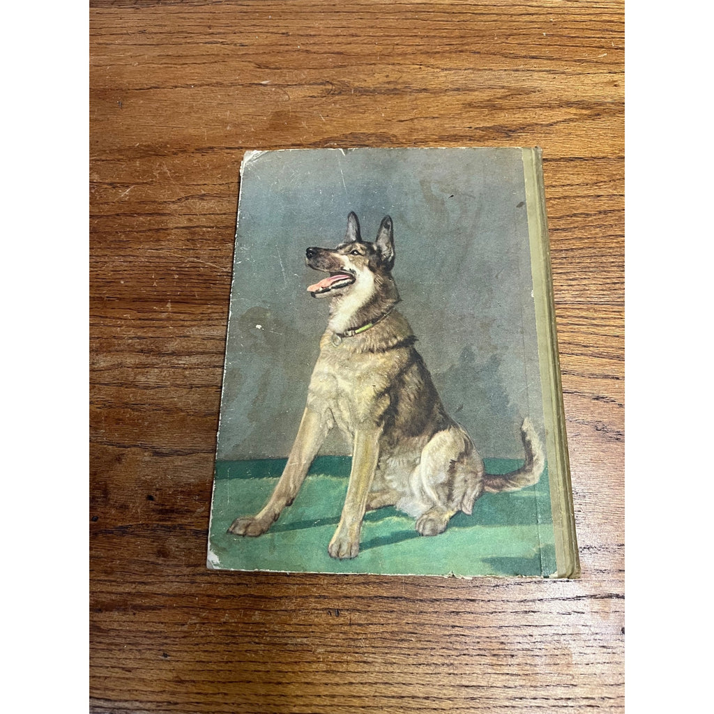 The Dog Book 1930s Diane Thorn & Albert Payson Terhune Colored Illustrations Nice