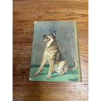 The Dog Book 1930s Diane Thorn & Albert Payson Terhune Colored Illustrations Nice