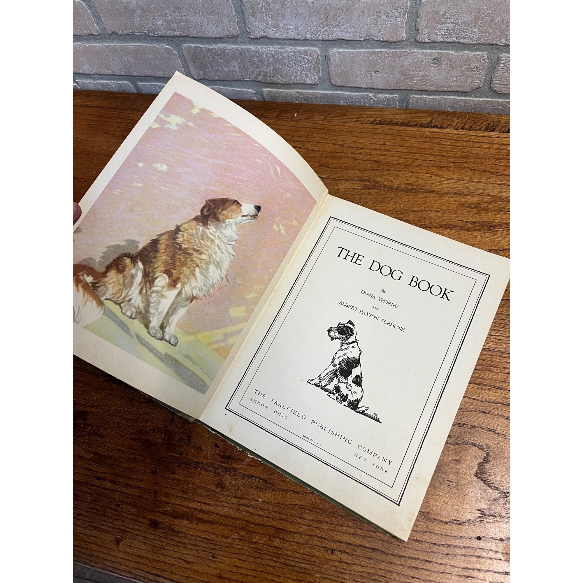 The Dog Book 1930s Diane Thorn & Albert Payson Terhune Colored Illustrations Nice