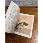The Dog Book 1930s Diane Thorn & Albert Payson Terhune Colored Illustrations Nice