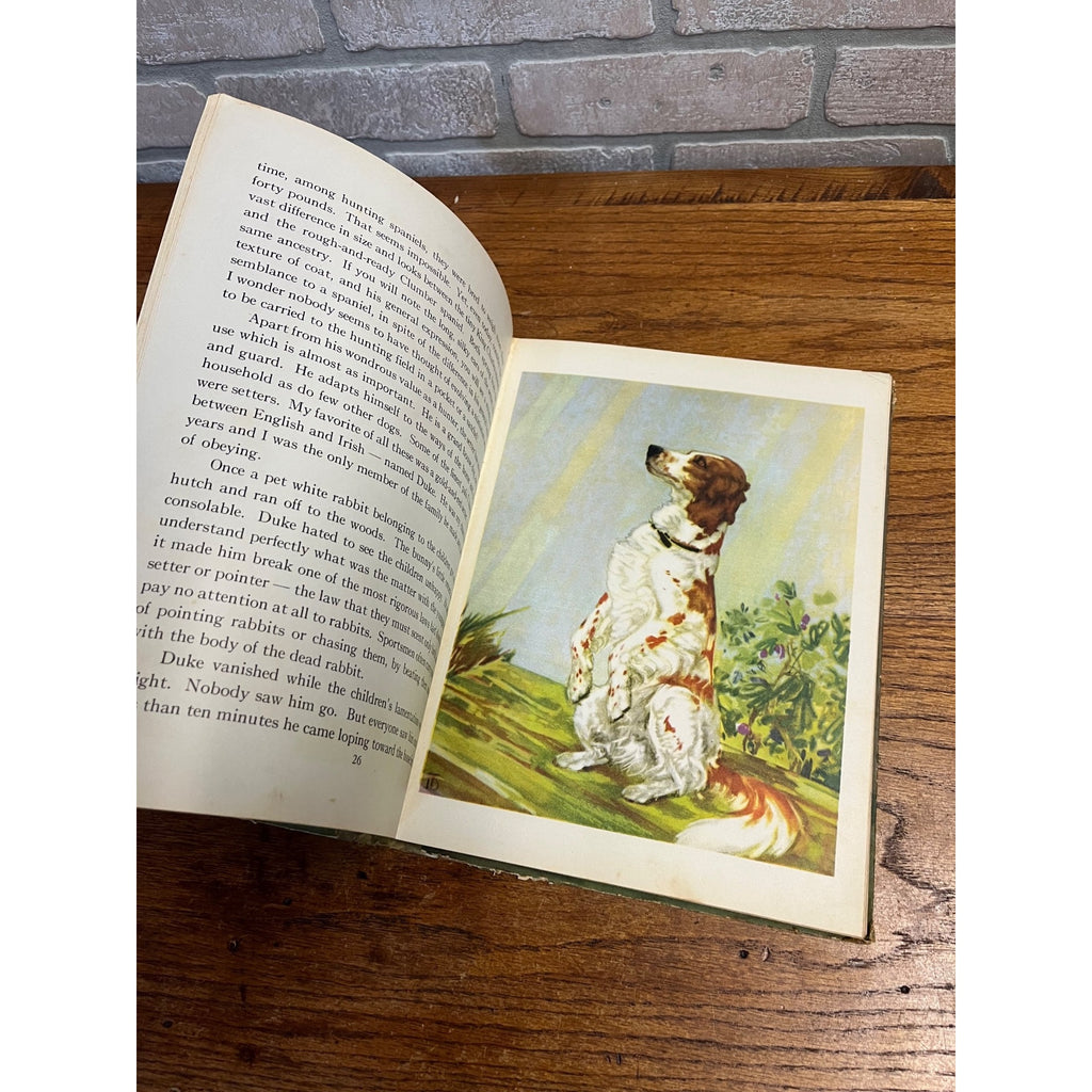 The Dog Book 1930s Diane Thorn & Albert Payson Terhune Colored Illustrations Nice