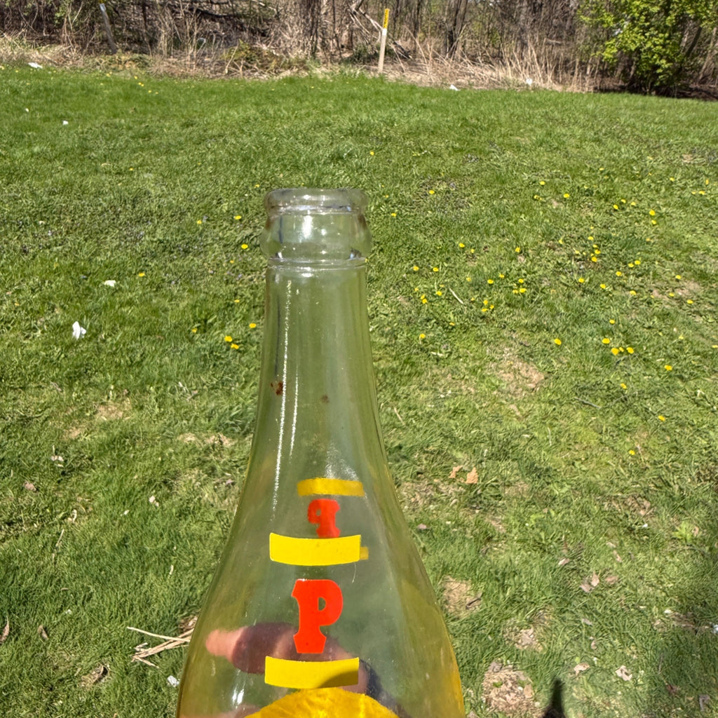 Plymouth Spring Vintage ACL 24 oz Soda Pop Bottle Plymouth Wisconsin 1970s
