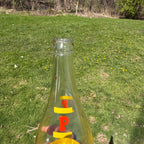 Plymouth Spring Vintage ACL 24 oz Soda Pop Bottle Plymouth Wisconsin 1970s