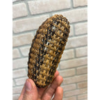 Vintage Native American Hand Woven Willow Splint Basket Primitive Folk Art Small