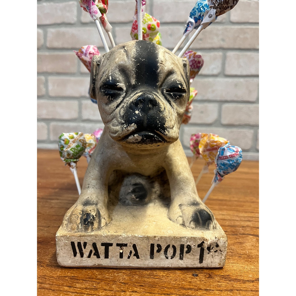 Vintage Watta Pop Chalkware Lollipop Figurine Bull Dog Pug Store Display