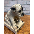 Vintage Watta Pop Chalkware Lollipop Figurine Bull Dog Pug Store Display