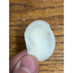 Vintage 1900s Carved Shell Cameo of Virgin Mother Mary Religious Pendant