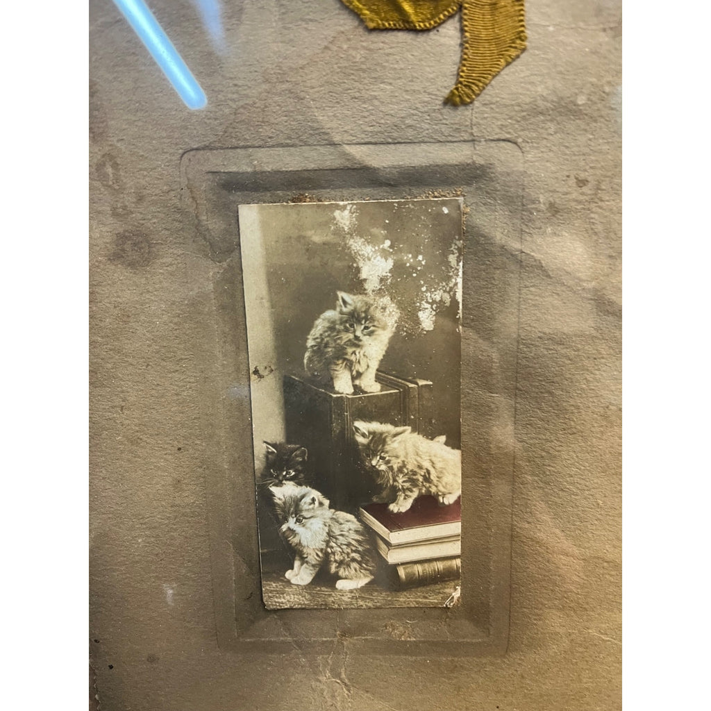 Vintage State Bank of Yates Montana Advertising Calendar Sign Kittens Cats Photo