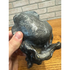 Art Nouveau Victorian Woman Flowing Dress Soap Trinket Dish Bronze