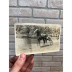 Antique Horse & Man on  Cart RRPC Farm Postcard Wisconsin