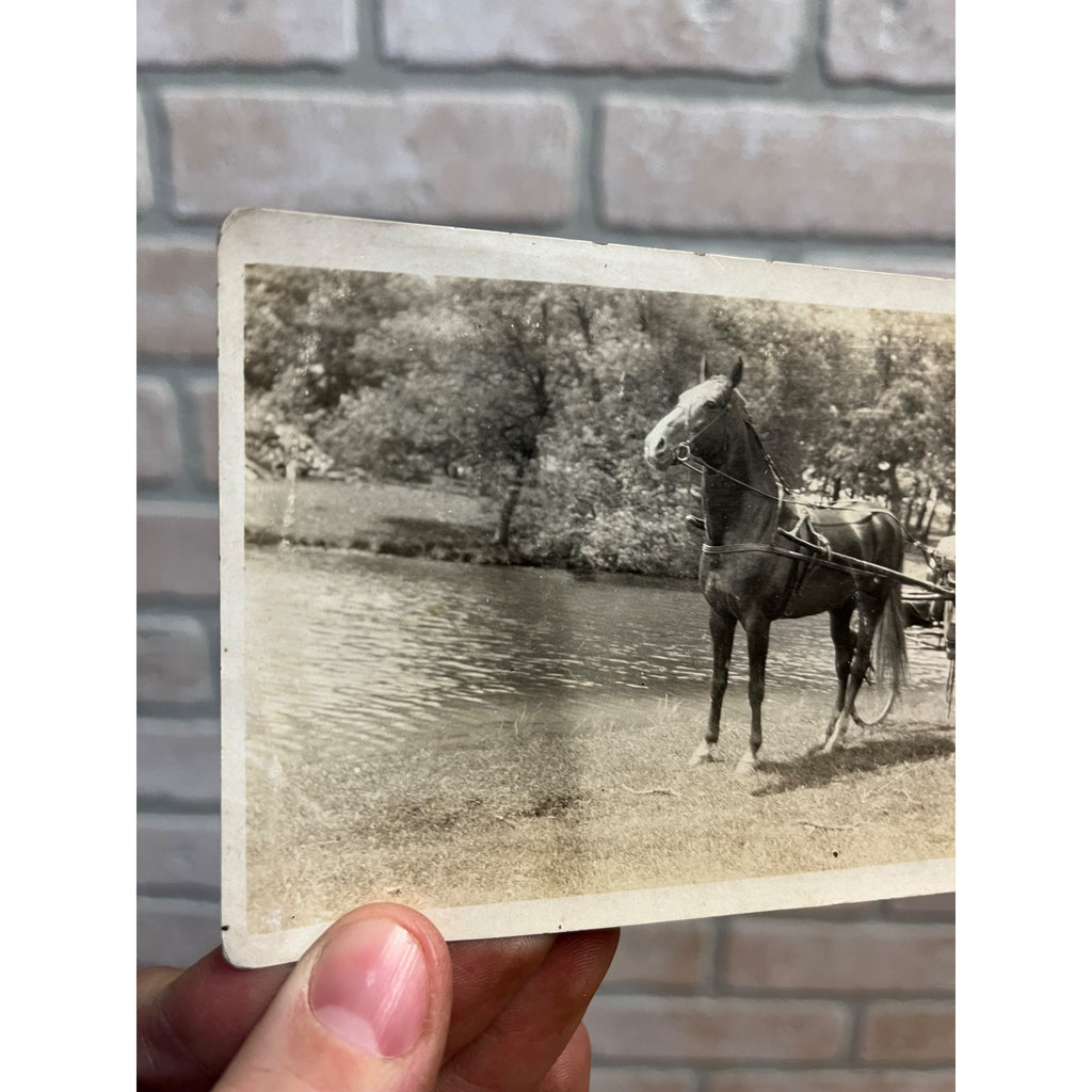 Antique Horse & Man on  Cart RRPC Farm Postcard Wisconsin