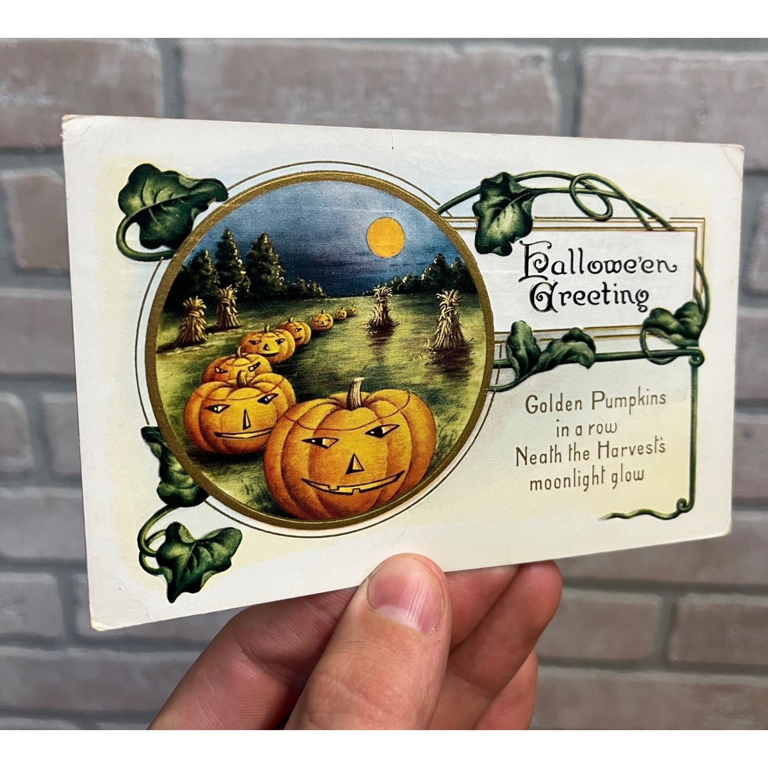 1916 Whitney Made Halloween Postcard Golden Pumpkins In a Row Neath the Harvest
