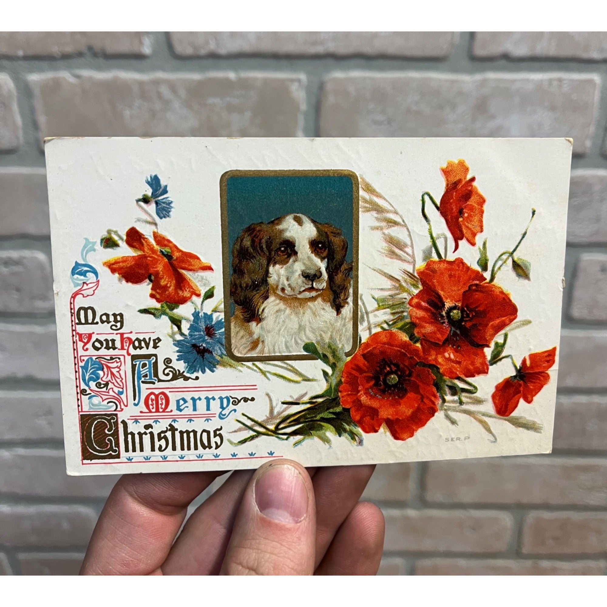 Vintage Merry Christmas Embossed Postcard Ser.P Spaniel Dog Floral Early 1900s