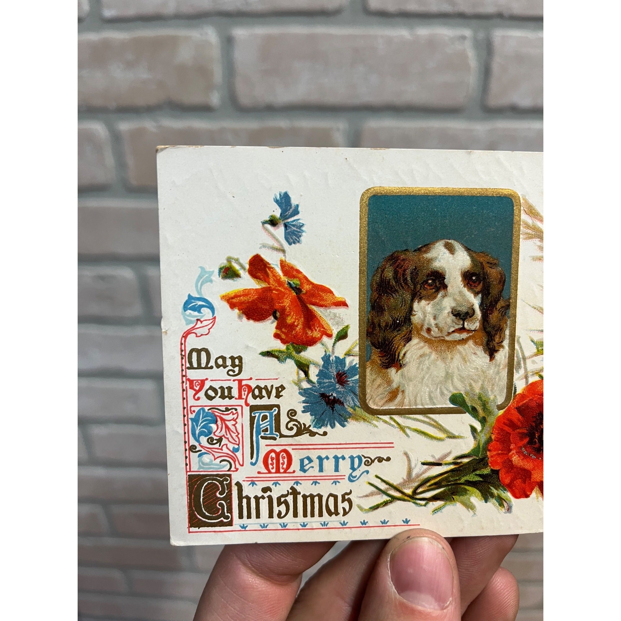 Vintage Merry Christmas Embossed Postcard Ser.P Spaniel Dog Floral Early 1900s