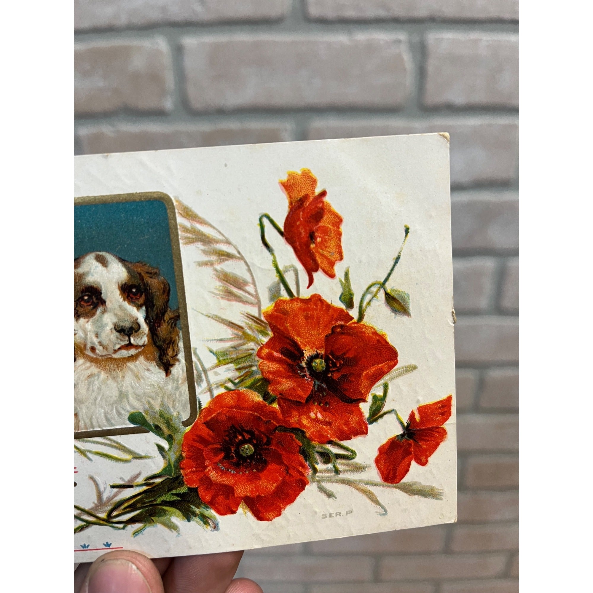 Vintage Merry Christmas Embossed Postcard Ser.P Spaniel Dog Floral Early 1900s