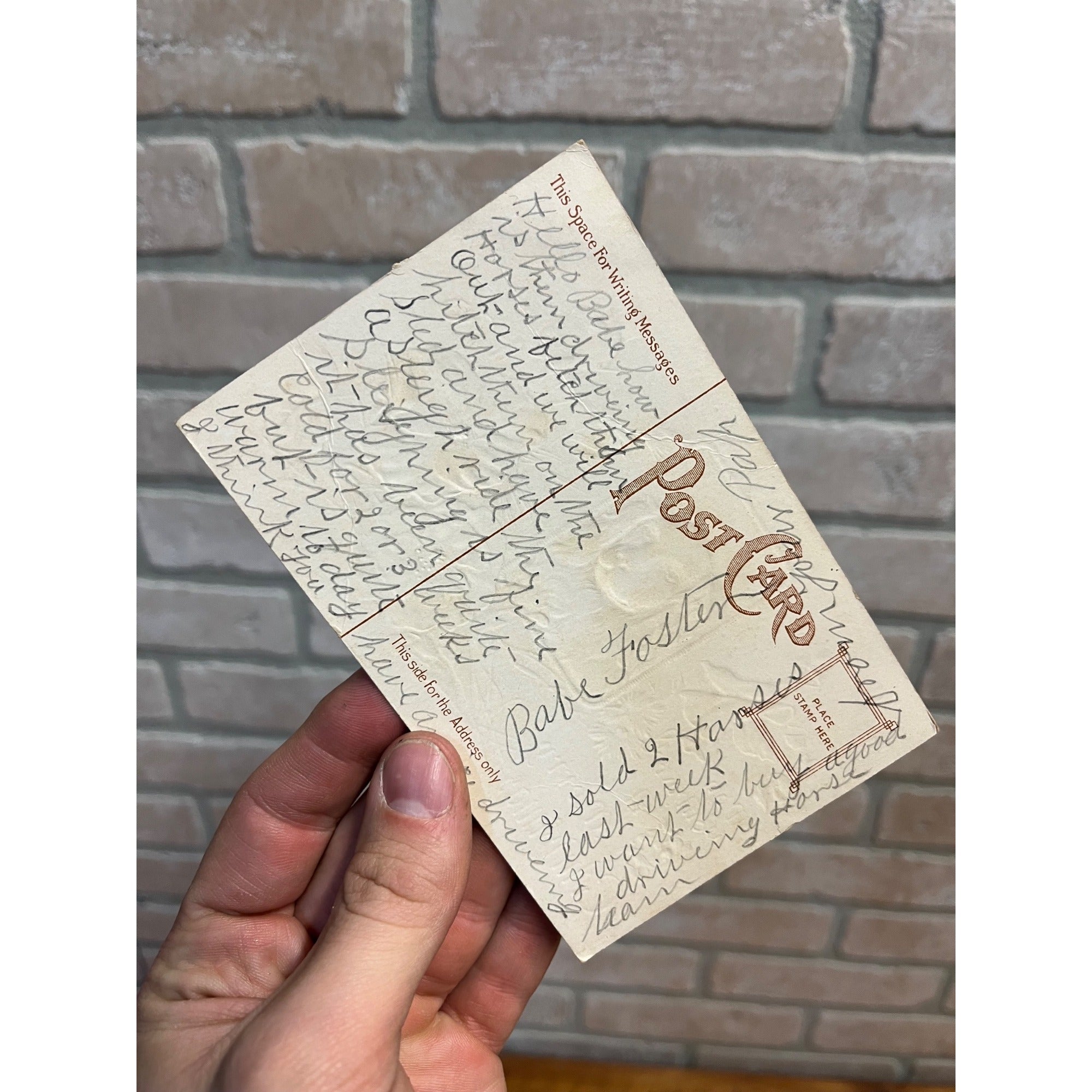 Vintage Merry Christmas Embossed Postcard Ser.P Spaniel Dog Floral Early 1900s