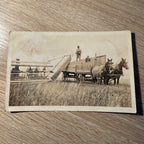RPPC Postcard Farming Workmen Horses McCormick Machinery Header Hazelton ND