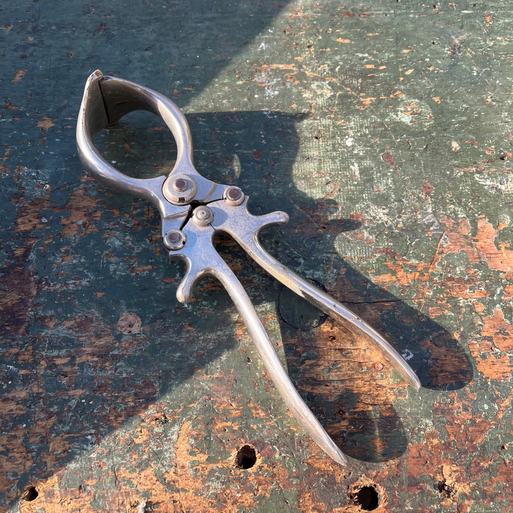 Antique Traveling Veterarian Doctor Leather Apothecary Bag  w/ Glass Bottles