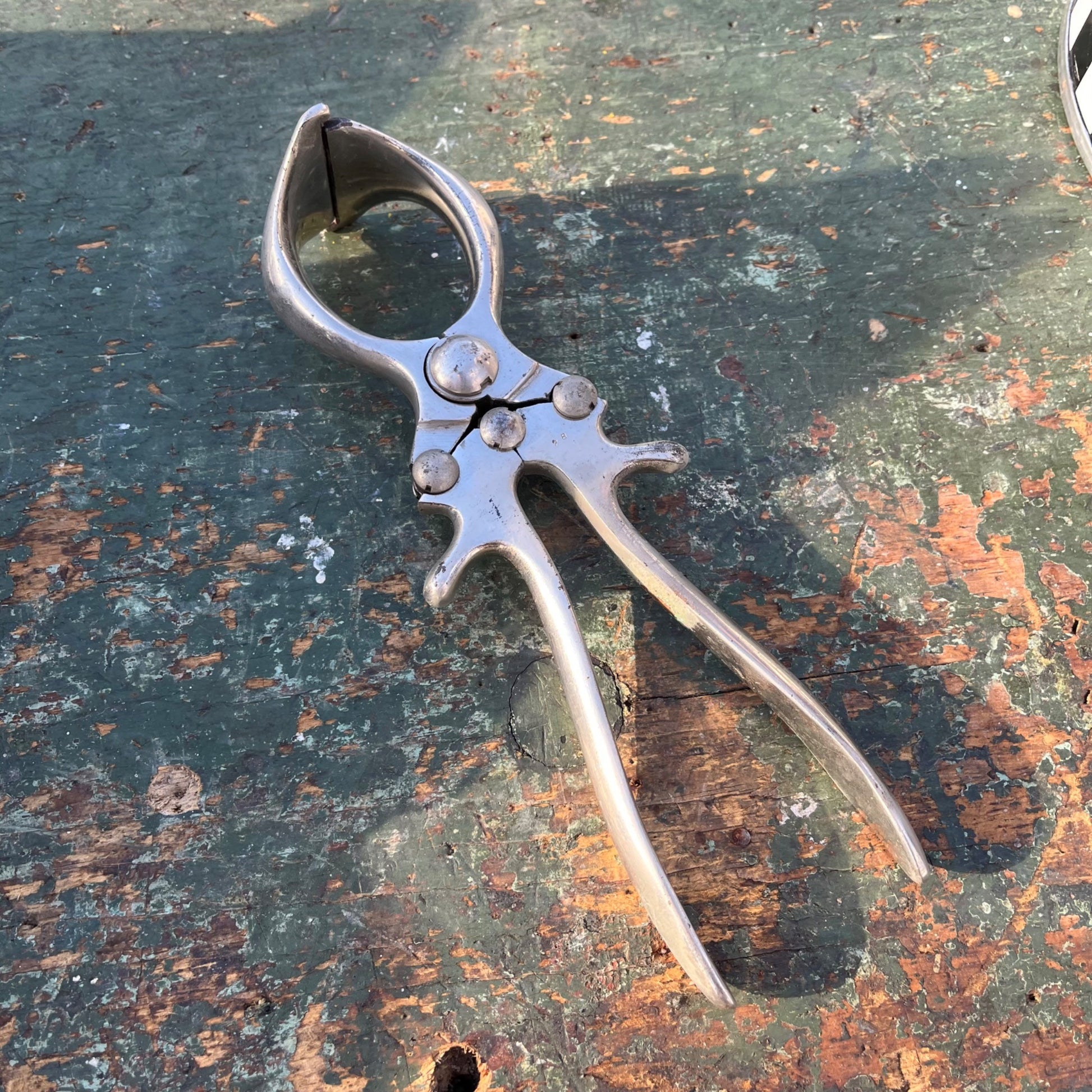 Antique Traveling Veterarian Doctor Leather Apothecary Bag  w/ Glass Bottles