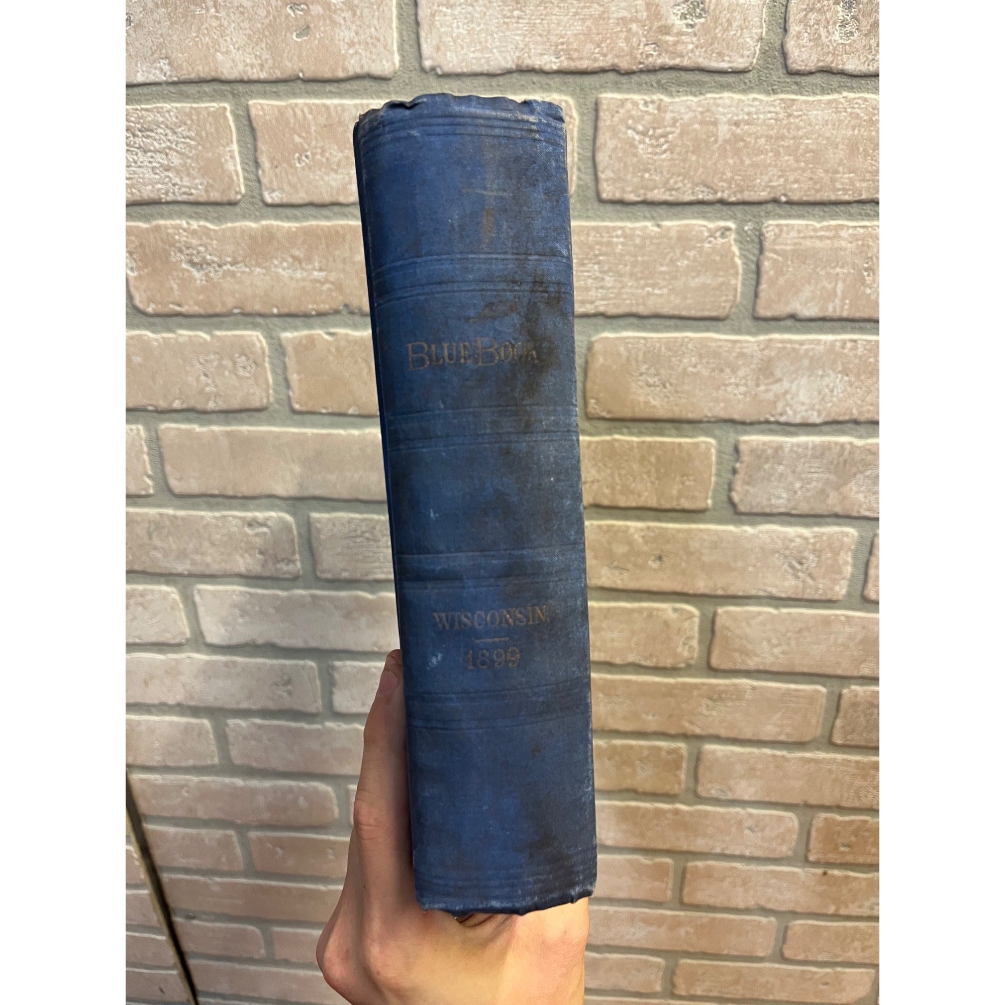 1899 Wisconsin Blue Book Hardcover Book Antique Vintage Diagram Senate and Assembly Chambers