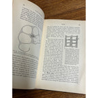 Vintage 1910 Plant Relations Fisrt Book of Botany School Hardcover John Coulter