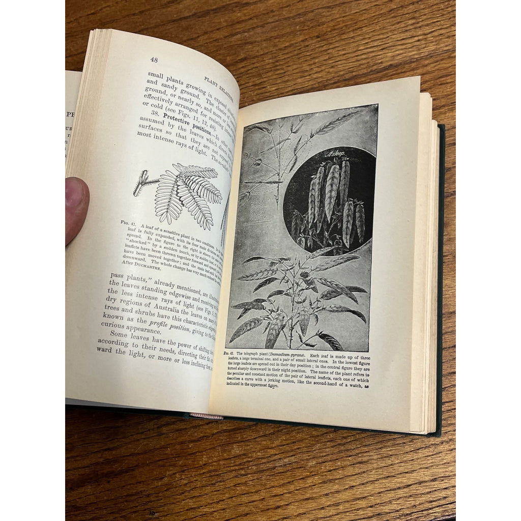 Vintage 1910 Plant Relations Fisrt Book of Botany School Hardcover John Coulter