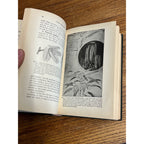Vintage 1910 Plant Relations Fisrt Book of Botany School Hardcover John Coulter