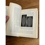 Vintage 1910 Plant Relations Fisrt Book of Botany School Hardcover John Coulter
