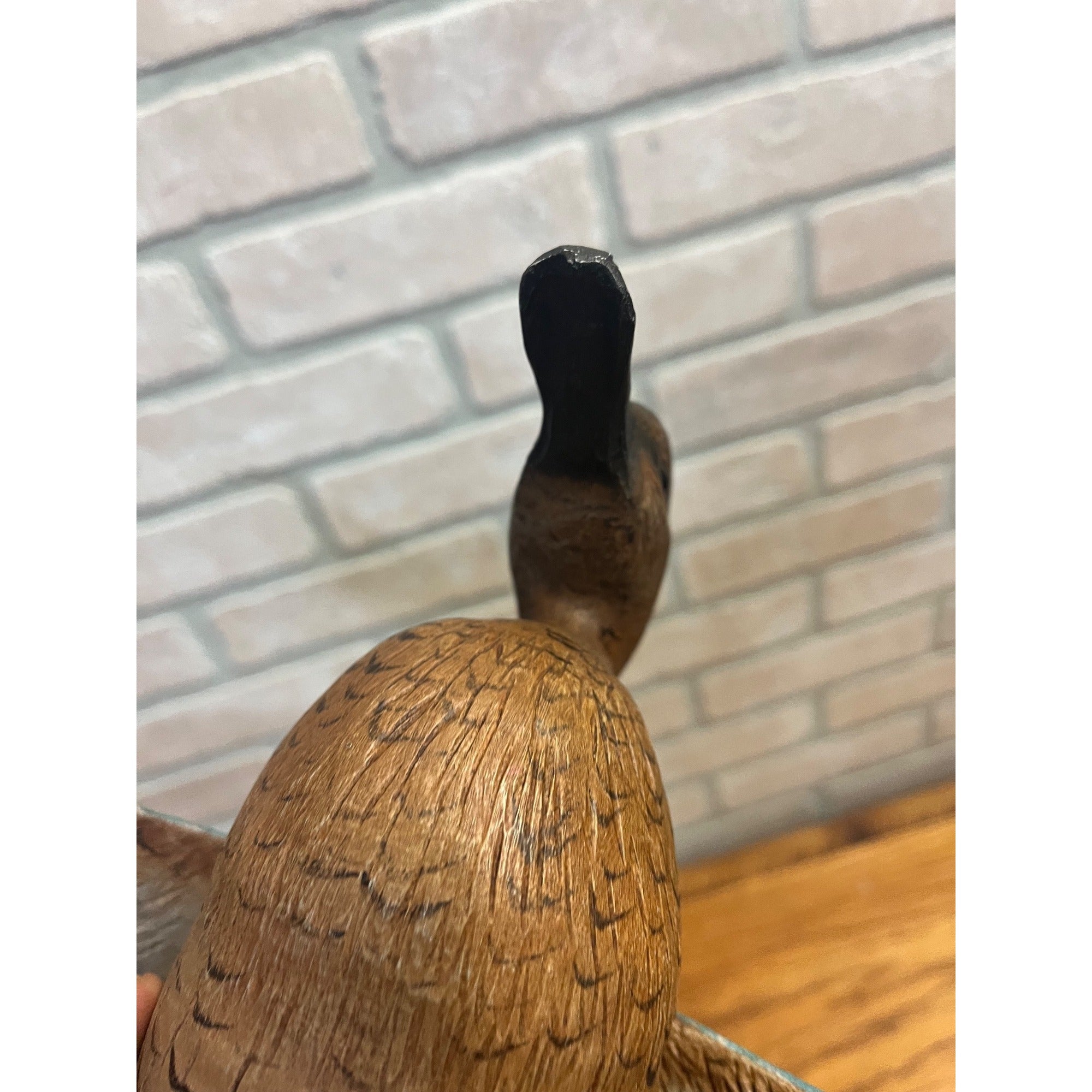 Casey Edwards Blue Wing Teal Hen in Flight Wood Carving Decoy Manitowoc