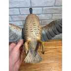 Casey Edwards Blue Wing Teal Hen in Flight Wood Carving Decoy Manitowoc