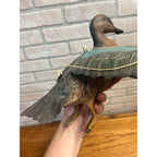 Casey Edwards Blue Wing Teal Hen in Flight Wood Carving Decoy Manitowoc