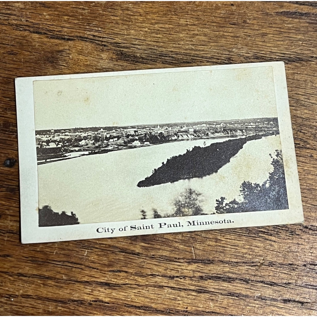 Original c1860s City of Saint Paul Minnesota Birdseye View CDV Photo MN Minn