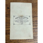 Original c1860s City of Saint Paul Minnesota Birdseye View CDV Photo MN Minn