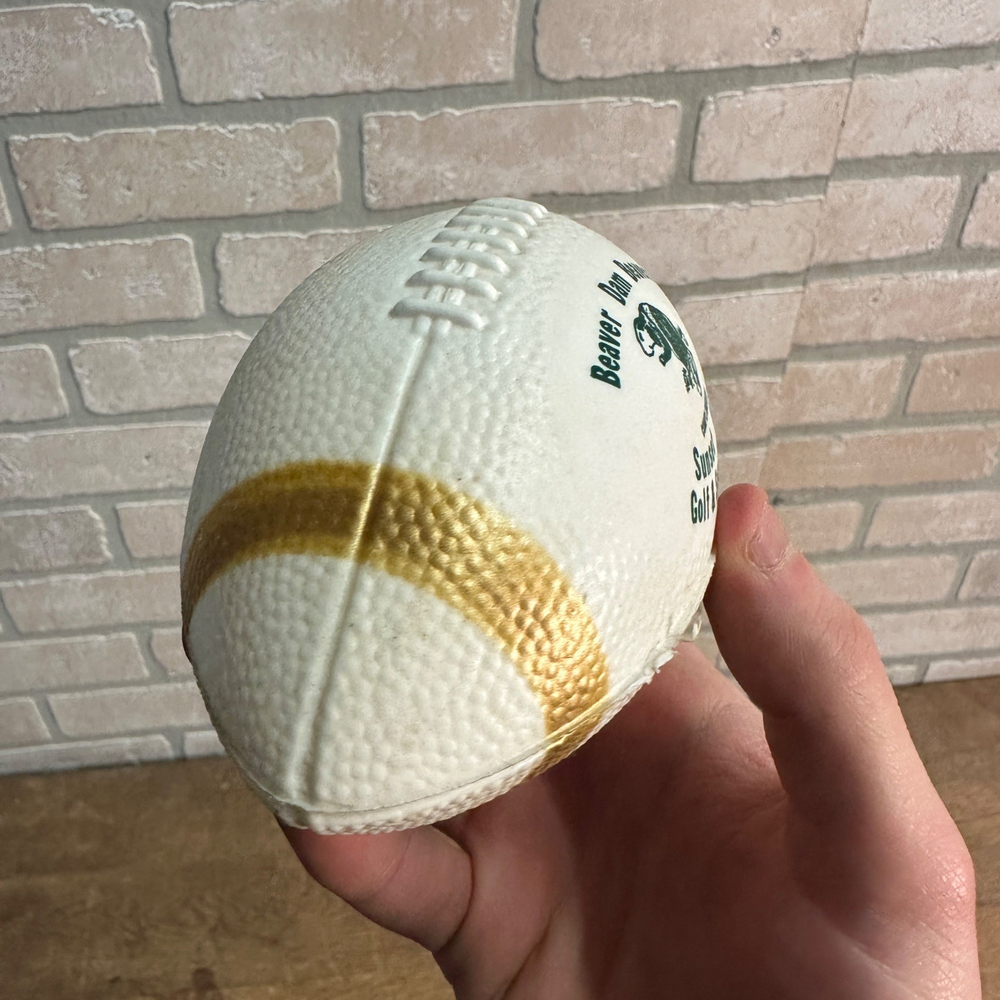 Vintage Beaver Dam Beavers Wisconsin Plastic Football Sunset Hills Golf
