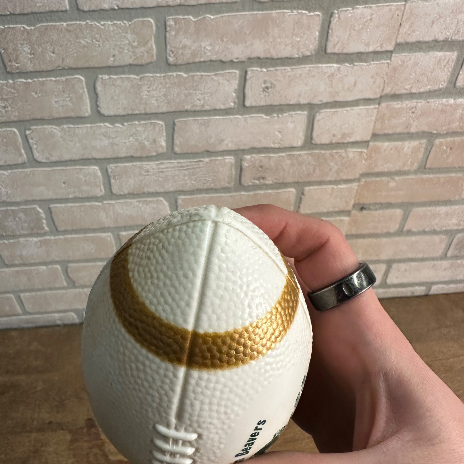 Vintage Beaver Dam Beavers Wisconsin Plastic Football Sunset Hills Golf
