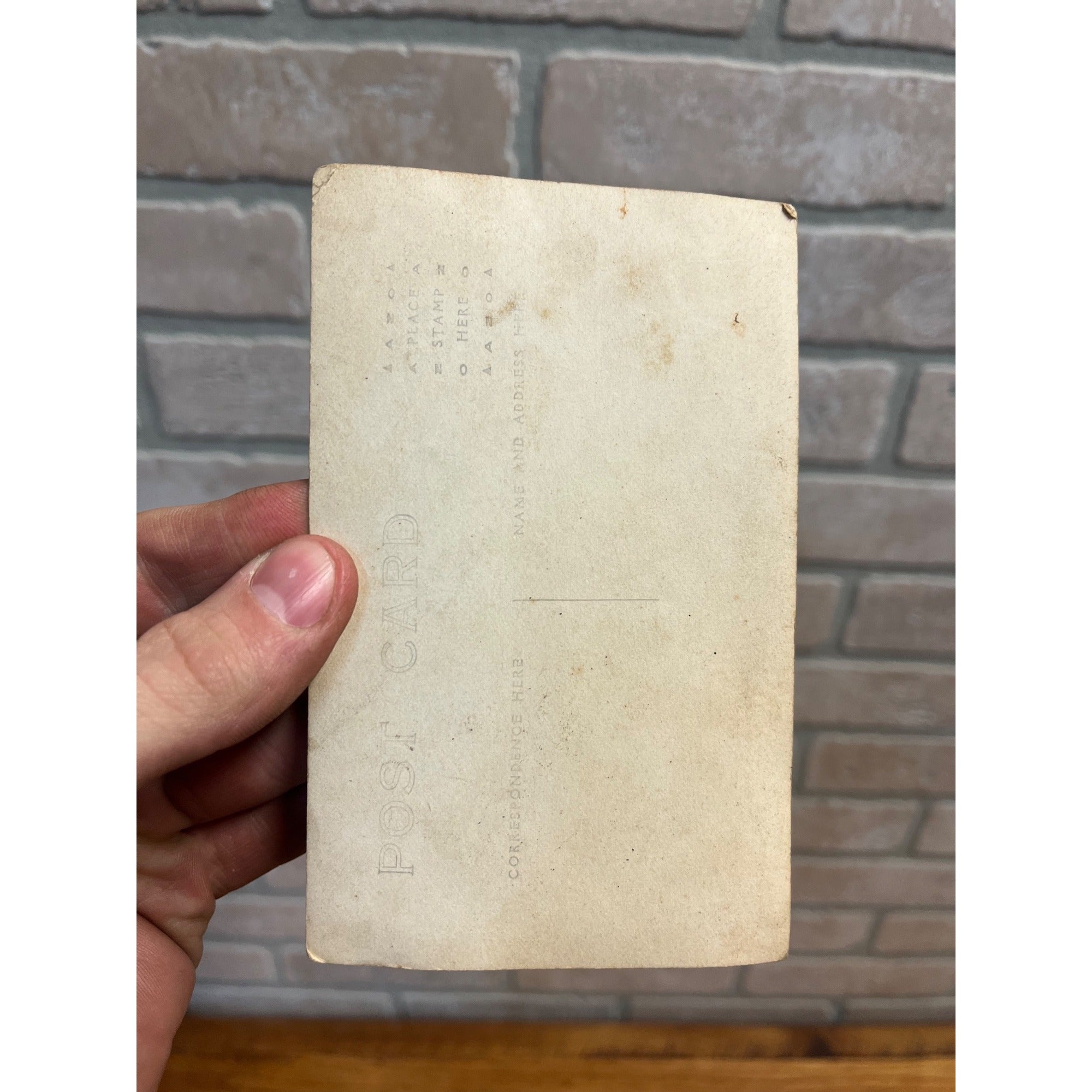 Antique RRPC Postcard Wisconsin Rural Farm Victorian Dress Small Girl Child