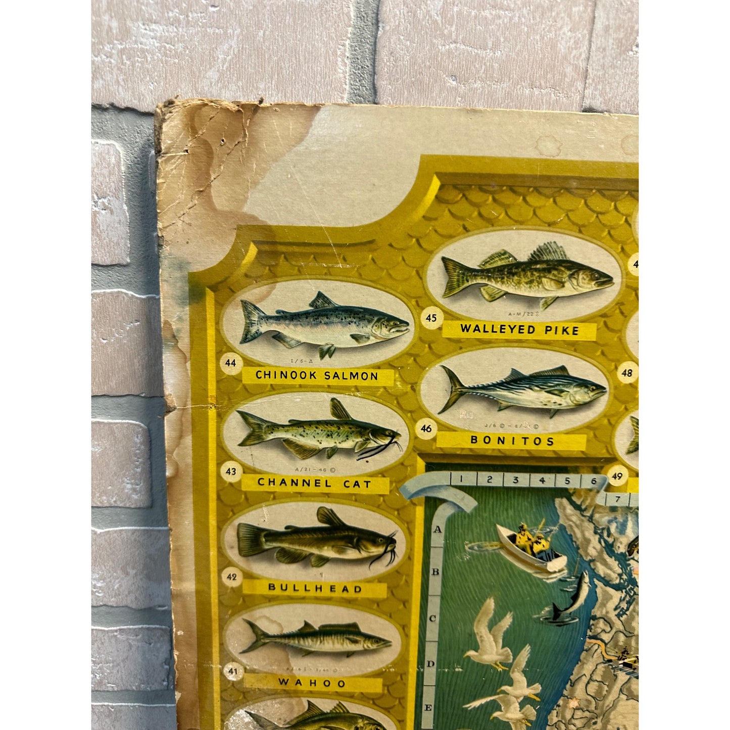 Original Vintage 1947 Seagram's Game Fish Cyclopedia Cardstock Sign Poster