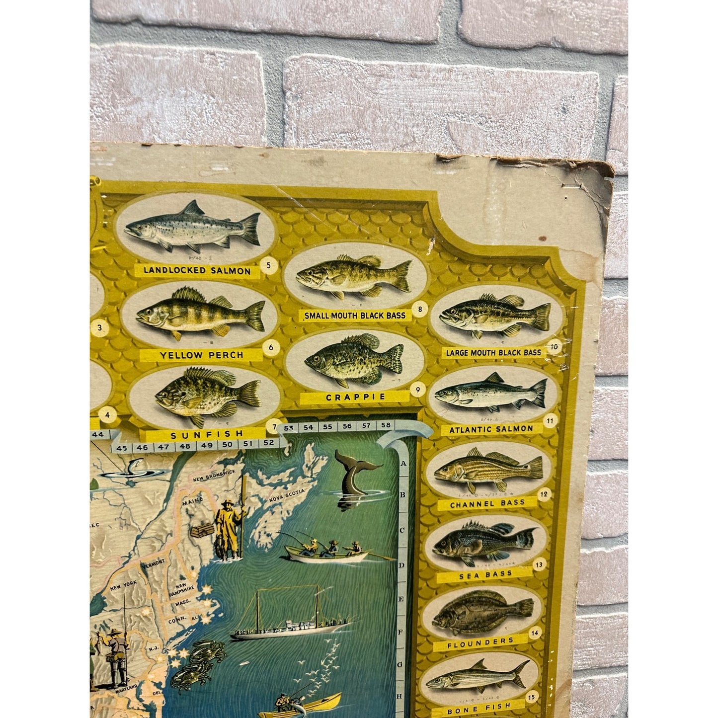 Original Vintage 1947 Seagram's Game Fish Cyclopedia Cardstock Sign Poster