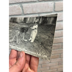 Vintage Postcard RPPC Northwest Settlement Historical Village, Wisconsin Dells