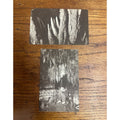 Cave of the Mounds Photo Postcards Wisconsin Lot (2)