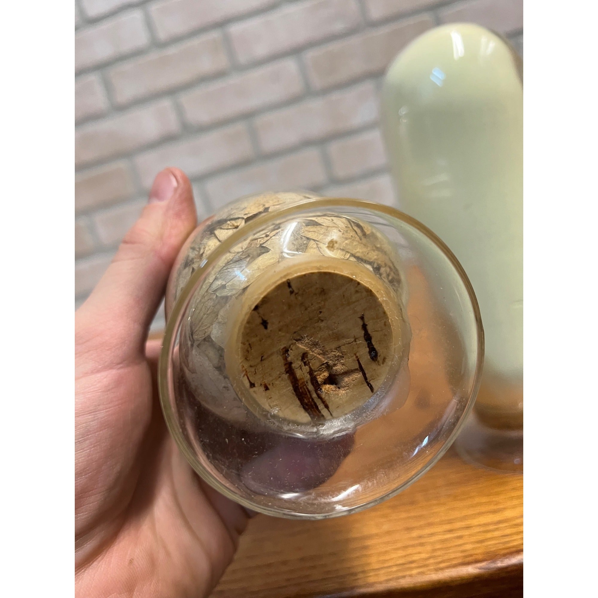 Vintage Rexall Drug Store Apothecary Show Globe Pharmacy Bottle Set (3) Display
