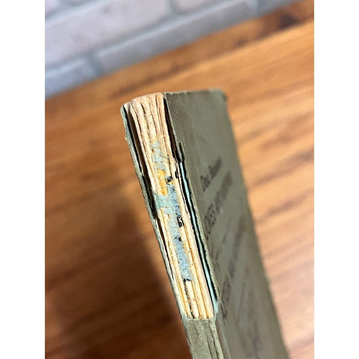 RARE Vintage Doc. Bunkem's Jokes and Nonsense Paperback The Greek Star 1926 Chicago, Illinois