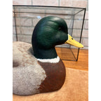 John Rawlins 1984 Hand Carved Wood Mallard Drake Duck Decoy Signed Wisconsin