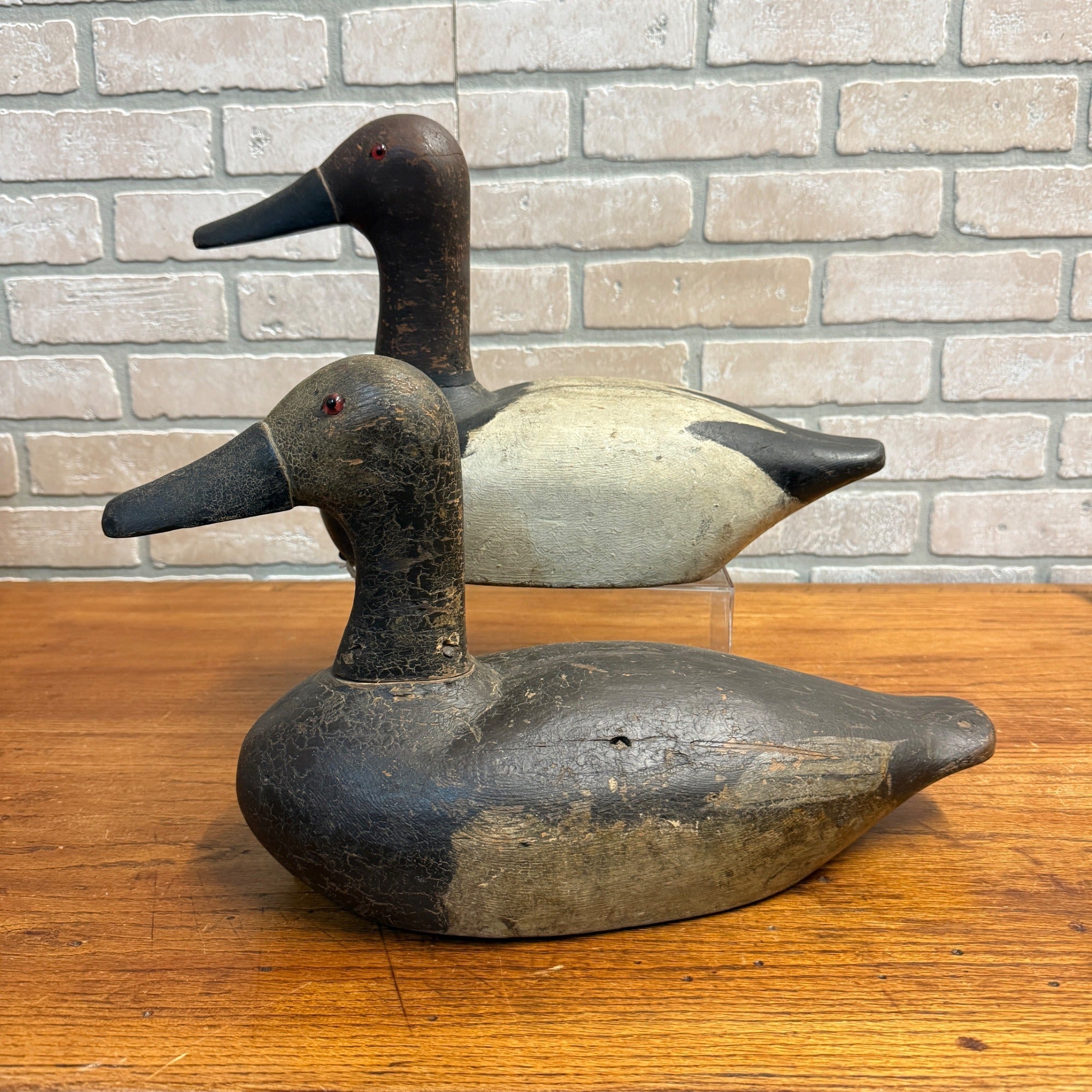 1940's High Head Canvasback Pair Duck Decoy Wisconsin Early Nice Paint Detailed
