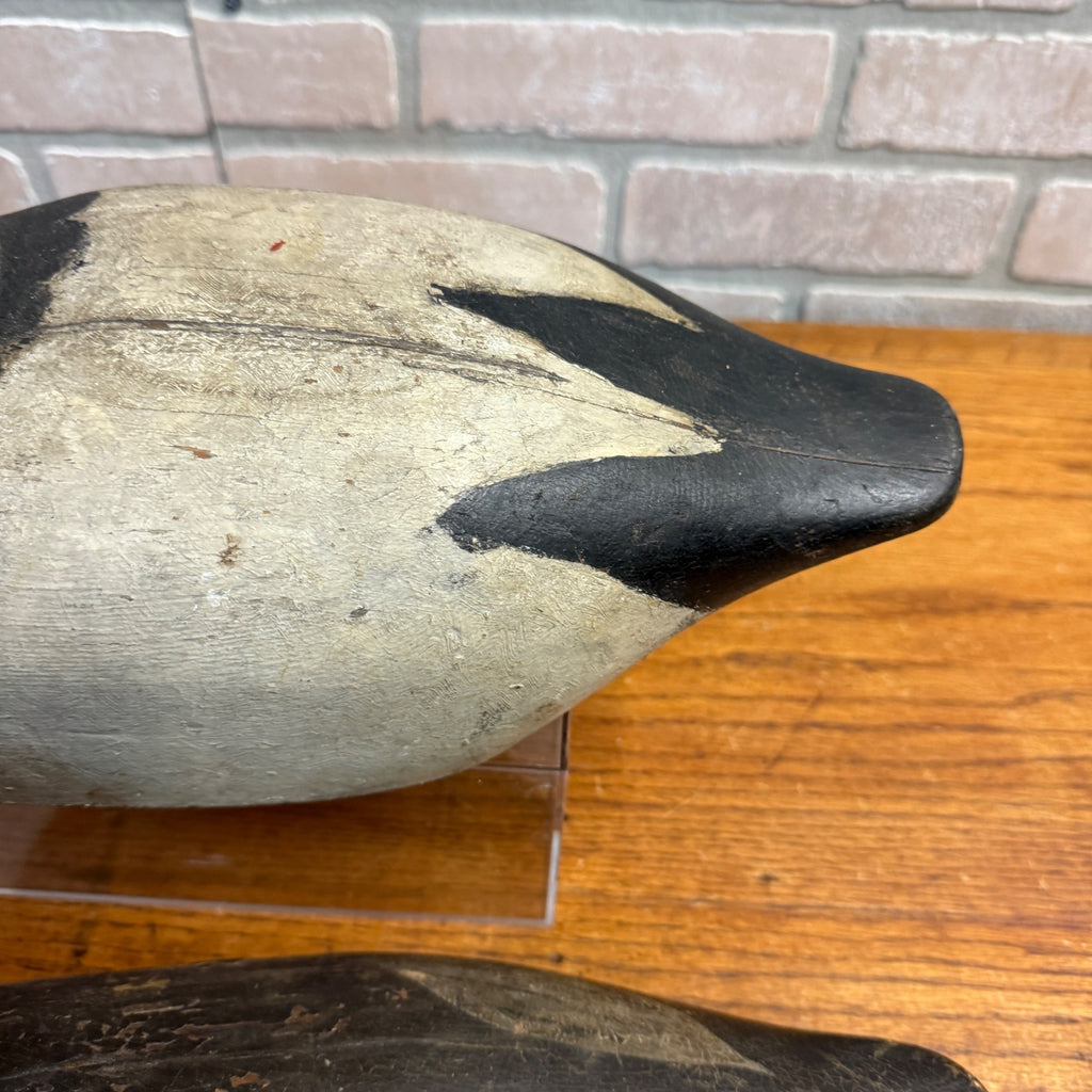 1940's High Head Canvasback Pair Duck Decoy Wisconsin Early Nice Paint Detailed