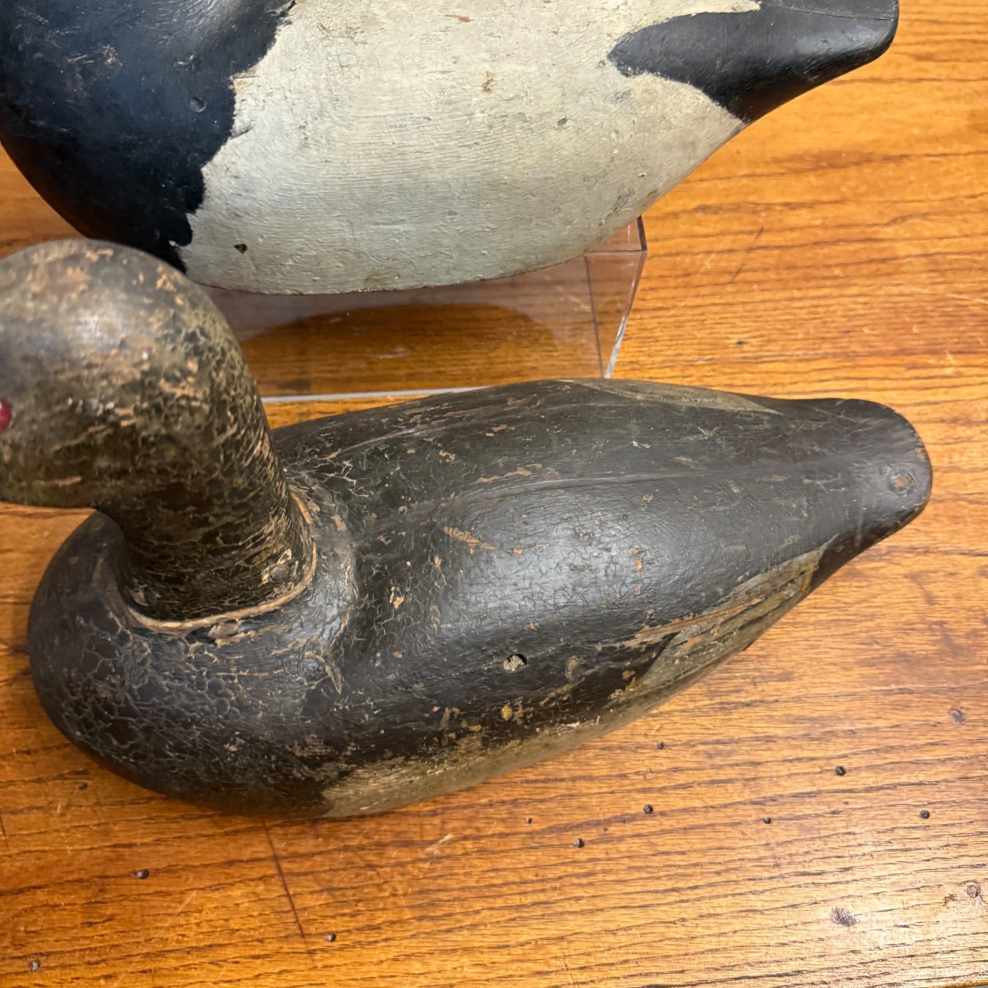 1940's High Head Canvasback Pair Duck Decoy Wisconsin Early Nice Paint Detailed