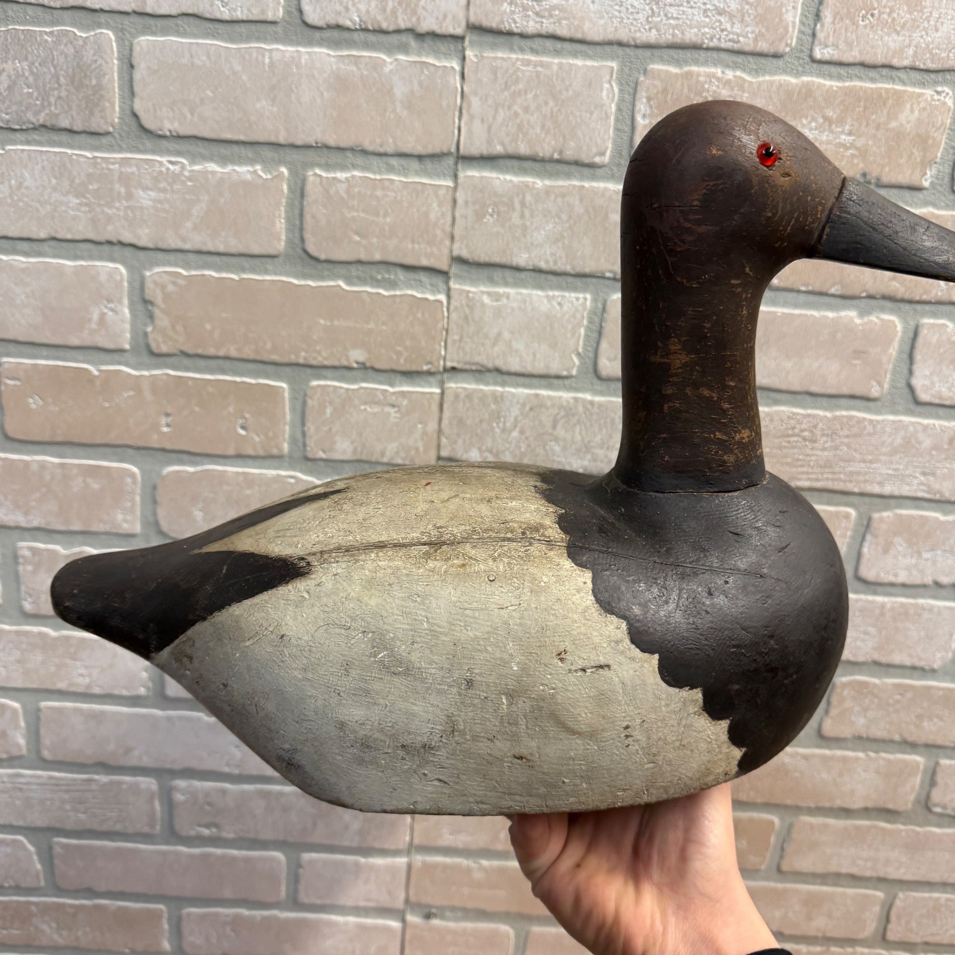1940's High Head Canvasback Pair Duck Decoy Wisconsin Early Nice Paint Detailed