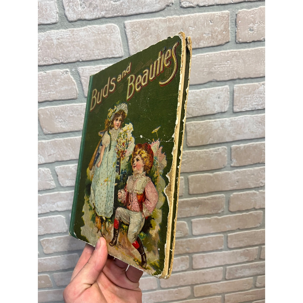 Antique Victorian Litho "Buds & Beauties" Children's Hardcover Book 1903 Conkey